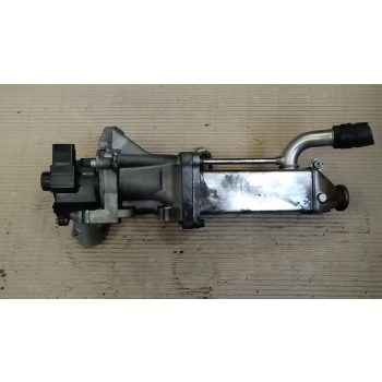 Citroen C6 Egr szelep, hűtővel