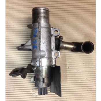 Renault Megane II/  Renault Scenic II EGR szelep